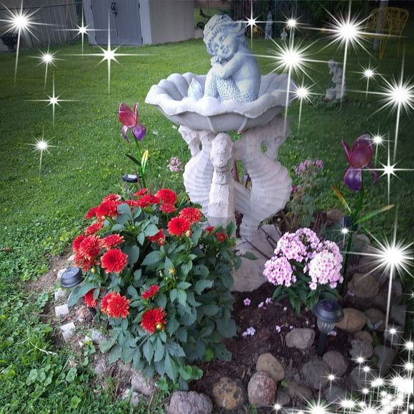 Meet your Posher, Linda - Picture 1 of 1